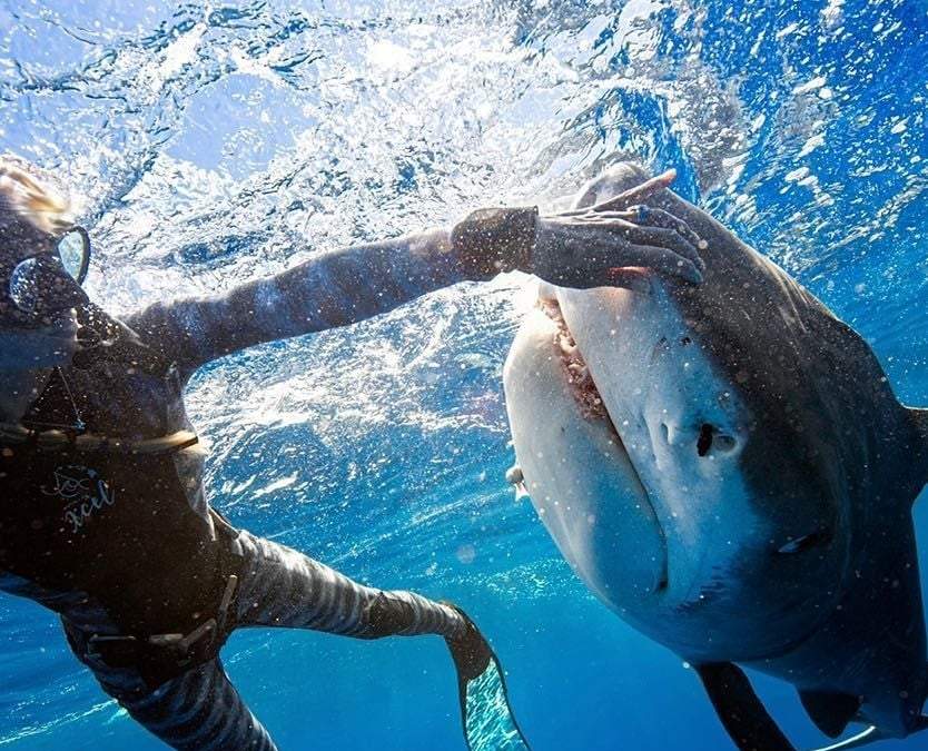 La bióloga Ocean Ramsey, en una de sus inmersiones con tiburones