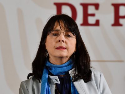 “No hay ninguna razón” para remover a Romero Tellaeche del CIDE: Álvarez-Buylla