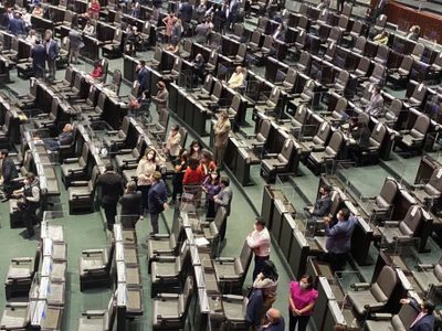 Diputado detenido por presunto abuso sexual vota vía remota en San Lázaro