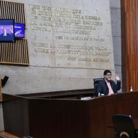 Tribunal Electoral pide “montos diferenciados” de topes de campaña para la elección judicial