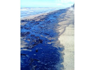 Cierran playas de Paraíso, Tabasco, por manchas de hidrocarburo