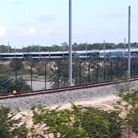Semarnat autoriza nuevo desmonte de selva para la terminal de carga del Tren Maya en Cancún
