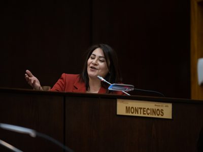 Karina Montecinos pondrá su oficina legislativa al servicio de los casos de violencia de género