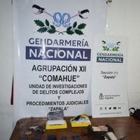 Gendarmería incautó más de 2 kilos de cocaína en un operativo y detuvo a 7 personas