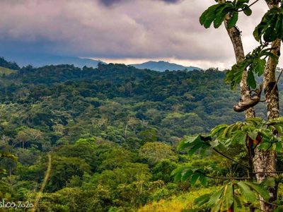 Habitantes de los Chimalapas piden base militar por amenazas de grupo delincuencial