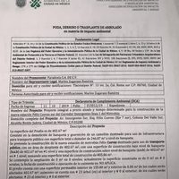 Alertan sobre 'inminente ecocidio” por obra de Metrobús en la colonia Del Valle Sur