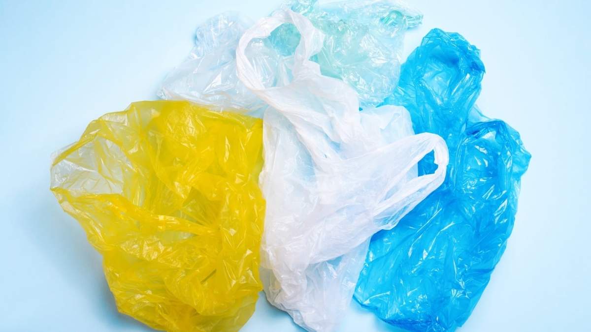 Bolsas plásticas. Fuente: (X)
