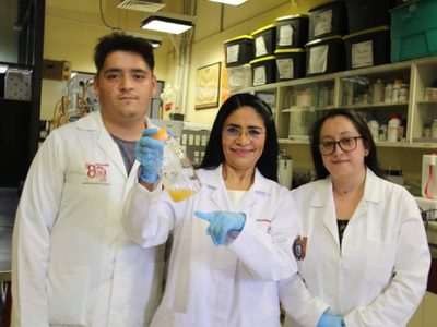 Científicos del IPN descubren un probiótico anticancerígeno proveniente del pulque