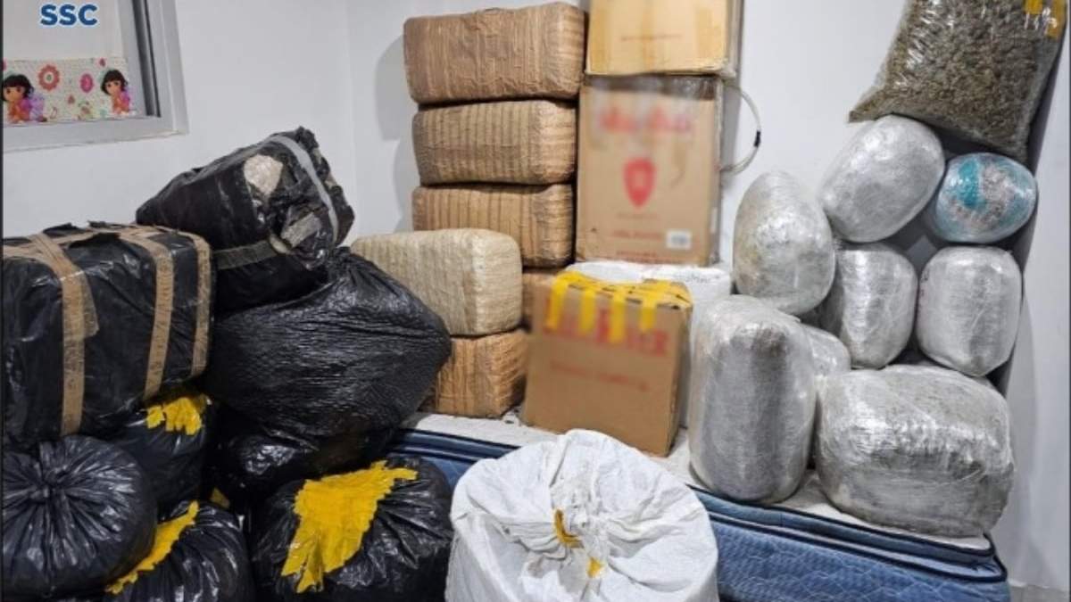La mariguana hallada estaba empaquetada