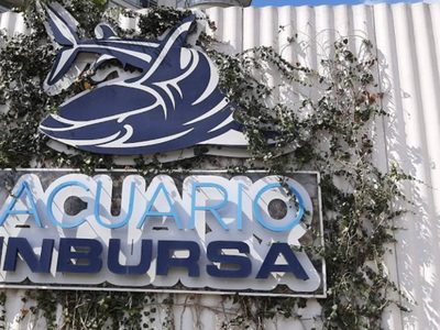 Bióloga marina muere ahogada en el Acuario Inbursa