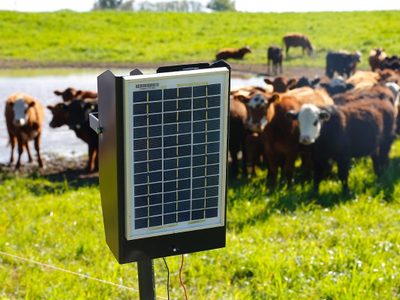 Gracias al PERMER, se entregarán boyeros solares en ocho provincias