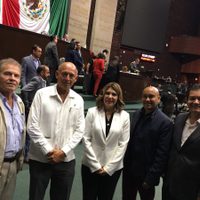 Diputada panista por Tamaulipas brinca a Morena