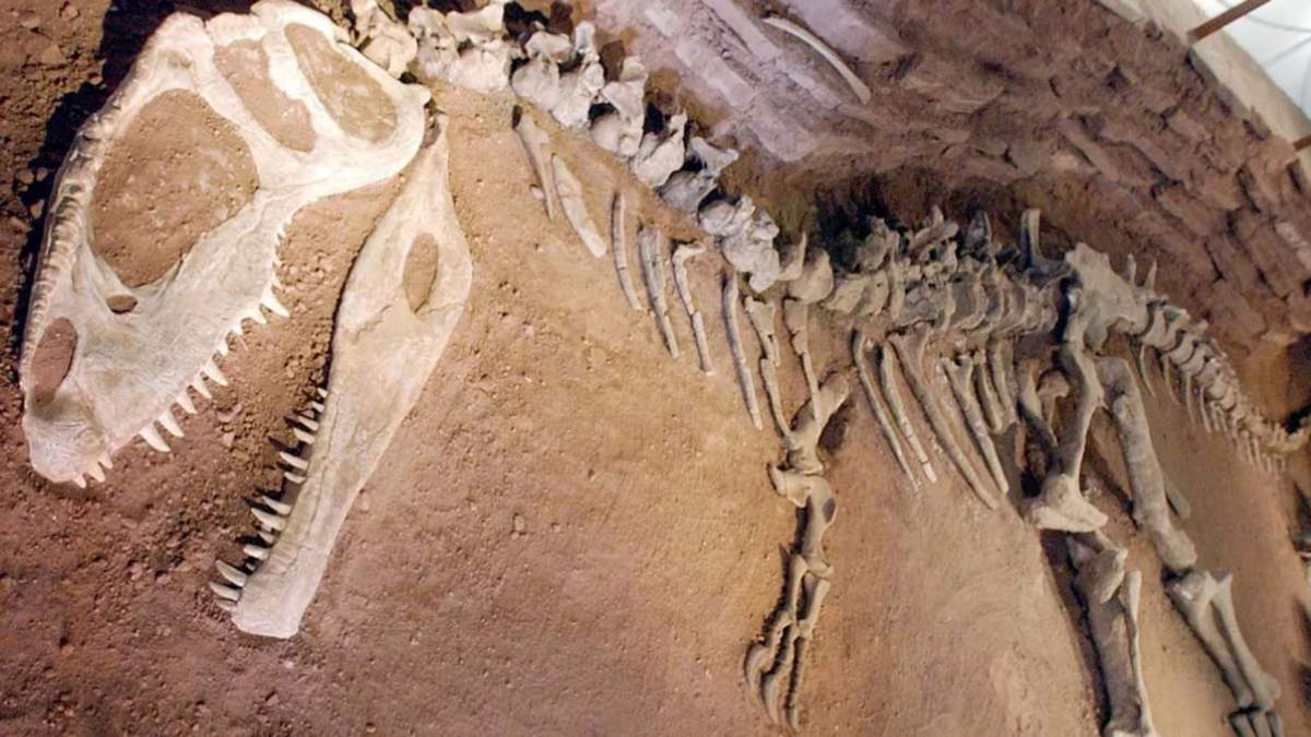 También se detectó un dinosaurio en el lago de Los Barreales. Fuente: (Twitter)