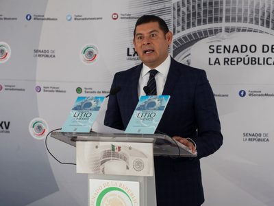 Senadores retomarán el Plan B a partir de la siguiente fecha