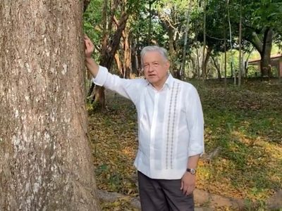 AMLO, el ausente en Morena