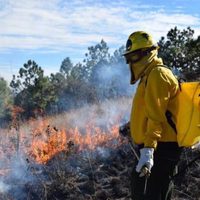 Conafor reporta 40 incendios forestales en el país