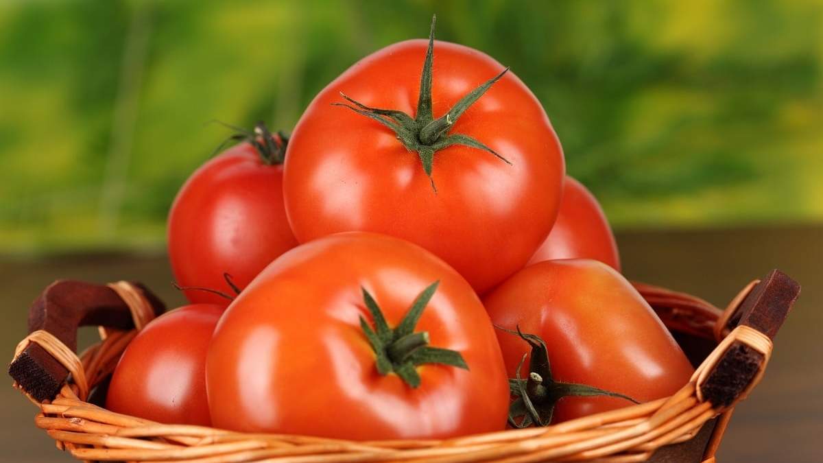Tomates. Fuente: (Twitter)