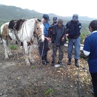 La Brigada Rural de Zapala rescató en la montaña a un poblador rural de 80 años
