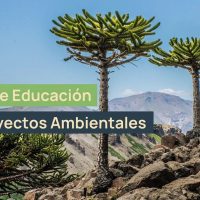 El programa “Raíces Jóvenes, Futuro Sostenible” se implementará en el norte neuquino