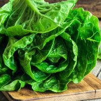 El truco fácil y viral para cultivar tu propia lechuga en casa con algo que casi siempre termina en la basura