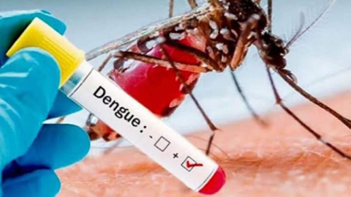 Dengue. Fuente: (Instagram)