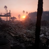 Billy Crystal y Mandy Moore, entre los que perdieron sus hogares en incendios de Los Ángeles