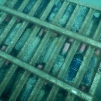 Crean una cava submarina en Las Grutas