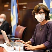 Revuelo en las redes tras la respuesta de Silvia Sapag a Martín Lousteau