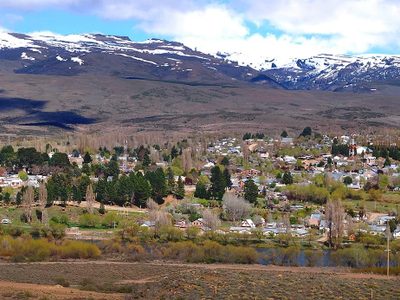 Advierten sobre peligrosa plaga en la cordillera neuquina