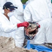 Concluyen exhumaciones en Tetelcingo