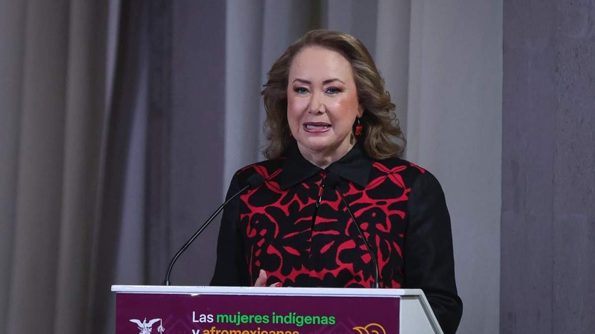 Yasmín Esquivel. Restringir a ambientalistas