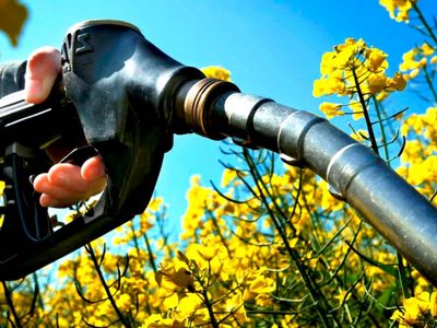 OETEC: las ventas totales de biodiésel cayeron un 56.1% durante 2020