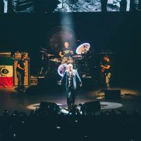 Morrissey, poesía rock contra el maltrato animal