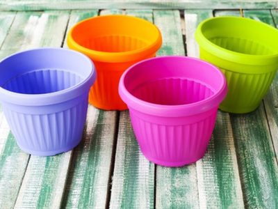 Llevá a otro nivel tu simple maceta de plástico con esta idea genial que revitaliza cualquier ambiente