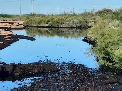 Derrame en Catriel: se reunieron representantes de Oldelval con el secretario de Energía nacional