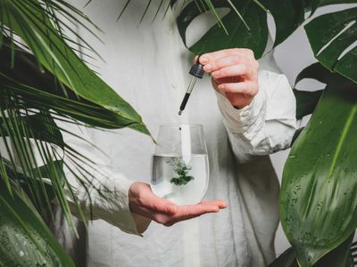 Natural, económico y efectivo: la receta del abono casero que mantiene tus plantas hermosas y sanas todo el año