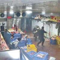 Vaca ataca a empleados de un matadero; el video se vuelve viral