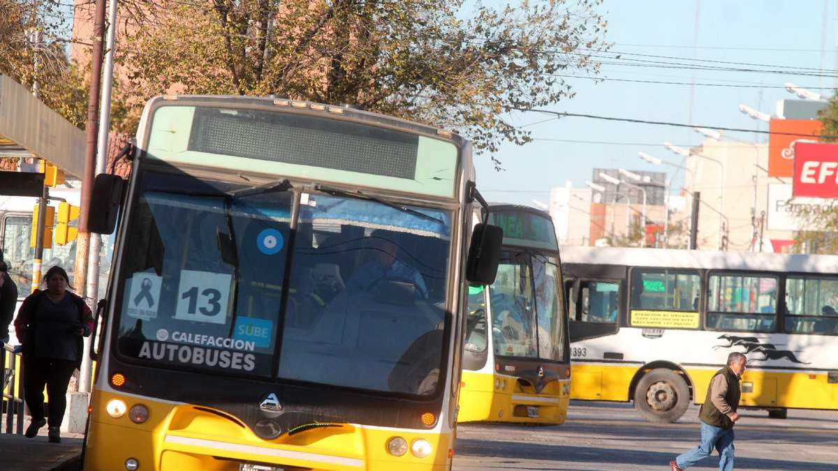 Colectivos de Neuquén capital. Fuente: (Twitter)