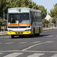 ELECCIONES 2021: cómo funcionará el transporte este domingo de elecciones