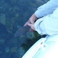 Provincia habilitó a más de 30 Prestadores Turísticos y Guías de Pesca Deportiva