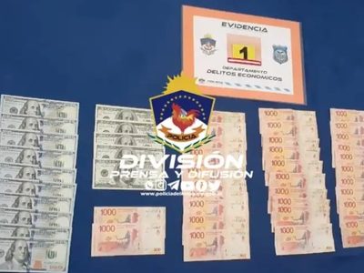 Dos demorados en Terrazas del Neuquén por estafas