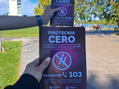 Vecinos denunciaron el uso de pirotecnia en Neuquén capital y cuestionaron la inacción de las autoridades