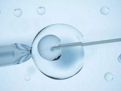 La fertilidad disminuye en todo el mundo... y la tendencia va a empeorar