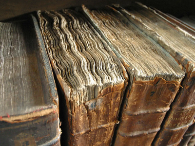 Si tenés un libro muy roto o viejo, no lo tires: mirá esta decoración "low cost" y vintage con plantas