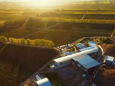 Una bodega de Neuquén será la sede de un importante encuentro sobre vino de la Patagonia