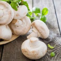 Secreto que no falla: no gastés una fortuna y cultivá tus propios champiñones