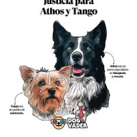 ¡Histórico! Inicia primer juicio de maltrato animal por asesinato de perros Athos y Tango