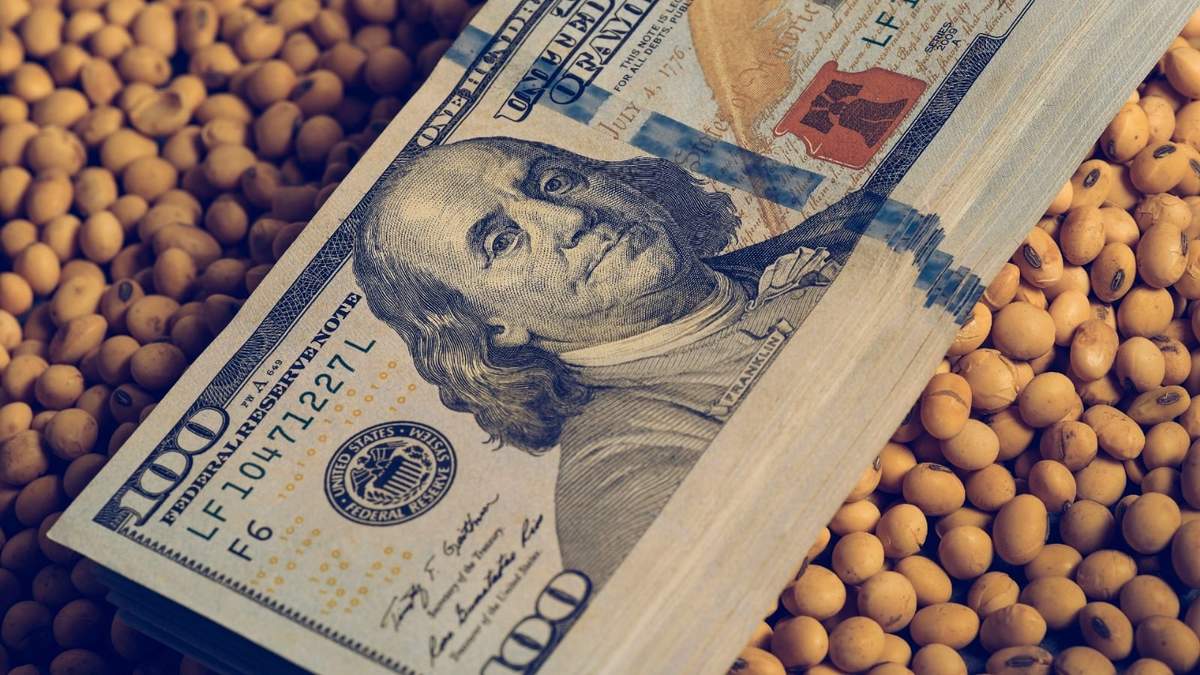 Dólar soja. Fuente: (Twitter)