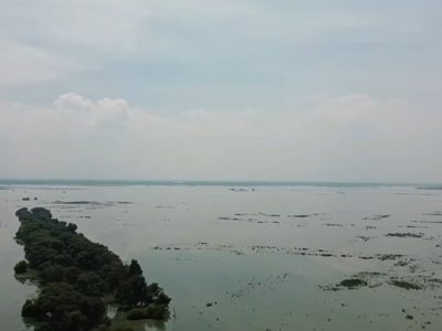 La laguna de Zumpango que se encontraba seca en marzo ahora está al 65% de su capacidad
