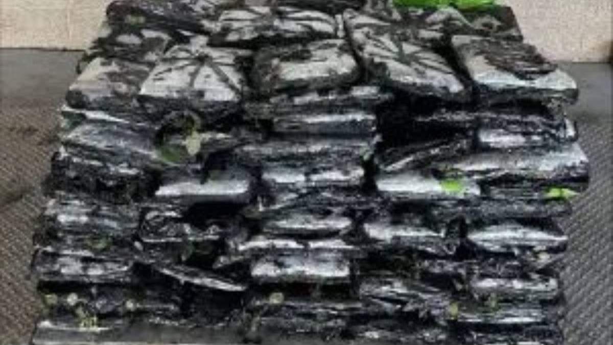 CBP incauta aproximadamente 380 kilos de metanfetamina en cargamento de rosas que pretendía ingresar a Estados Unidos desde México